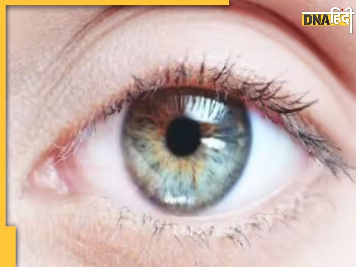 Eye Vision Loss: ये 5 फूड्स खाते ही बढ़ जाएगी आंखों की रोशनी, कुछ ही दिन में उतर जाएगा मोटा चश्मा 