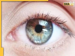 Eye Vision Loss: ये 5 फूड्स खाते ही बढ़ जाएगी आंखों की रोशनी, कुछ ही दिन में उतर जाएगा मोटा चश्मा 