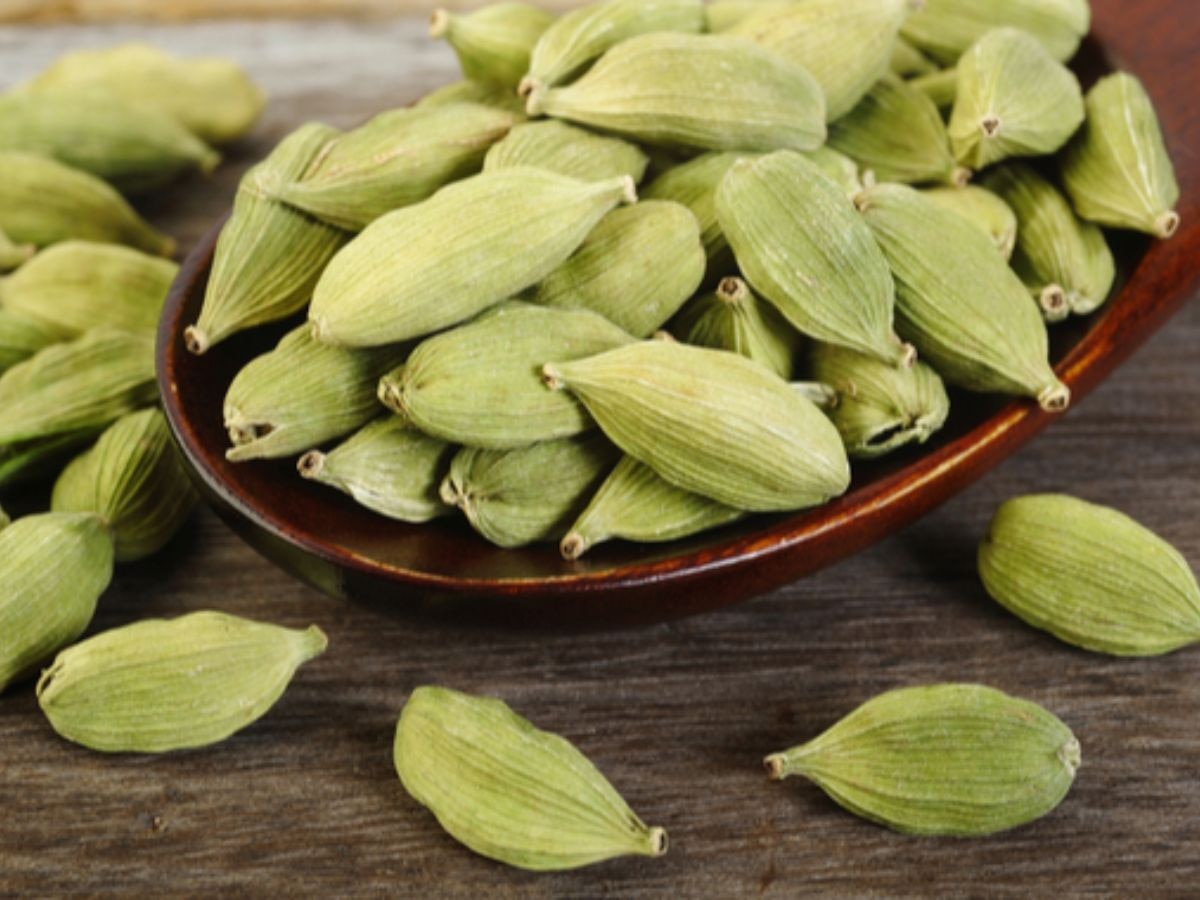 Cardamom Benefits: ओरल हेल्थ से लेकर ब्लड प्रेशर तक को सही रखती है हरी इलायची, ये 5 फायदे जान आप भी खाना कर देंगे शुरू