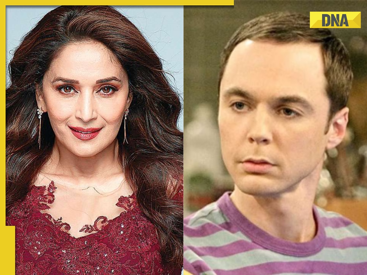 Madhuri Dixit Chut - Madhuri Dixit vs The Big Bang Theory explained: Netflix sued for 'leprous  prostitute' comment, know case