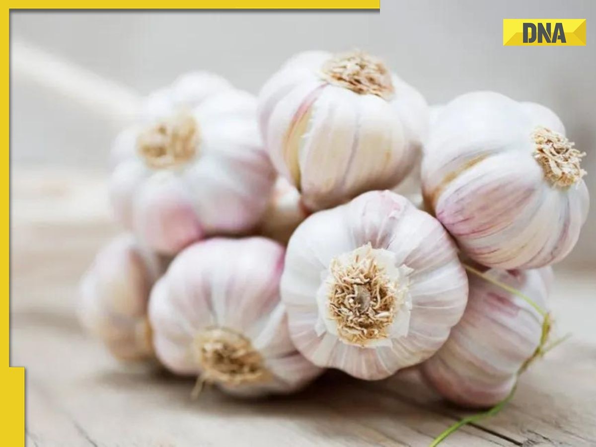 Diabetes: How roasted garlic helps control blood sugar level?