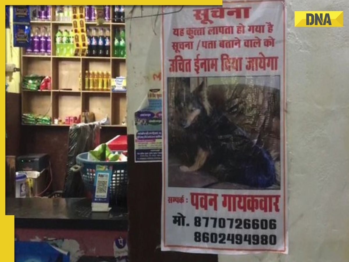 IAS officer's dog goes missing in MP's Gwalior, 'missing posters' put out, police launch search