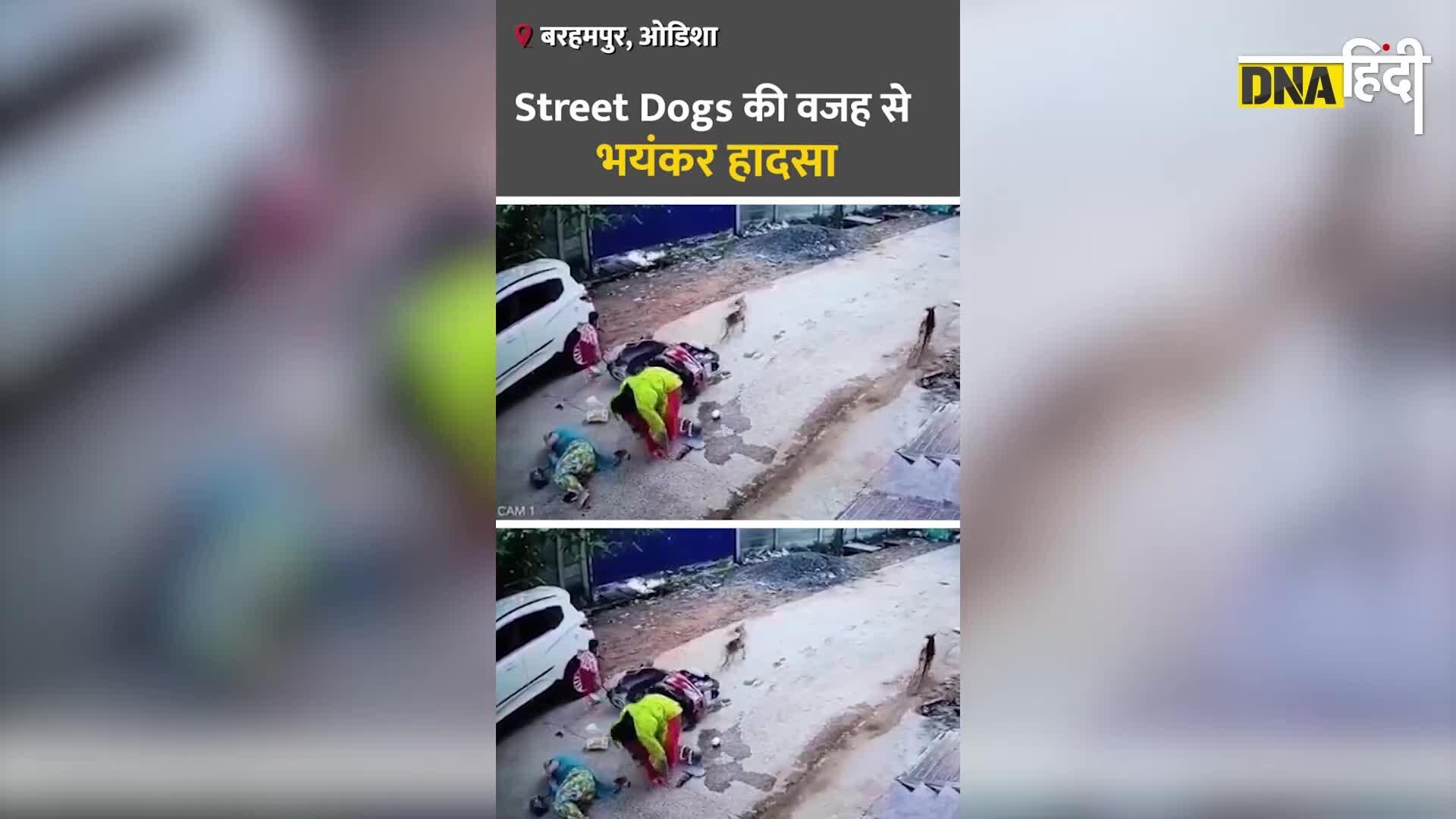 Video: Odisha में Street Dogs का आतंक,कुत्तों की वजह से बड़ा हादसा Video: Odisha में Street Dogs का आतंक,कुत्तों की वजह से बड़ा हादसा