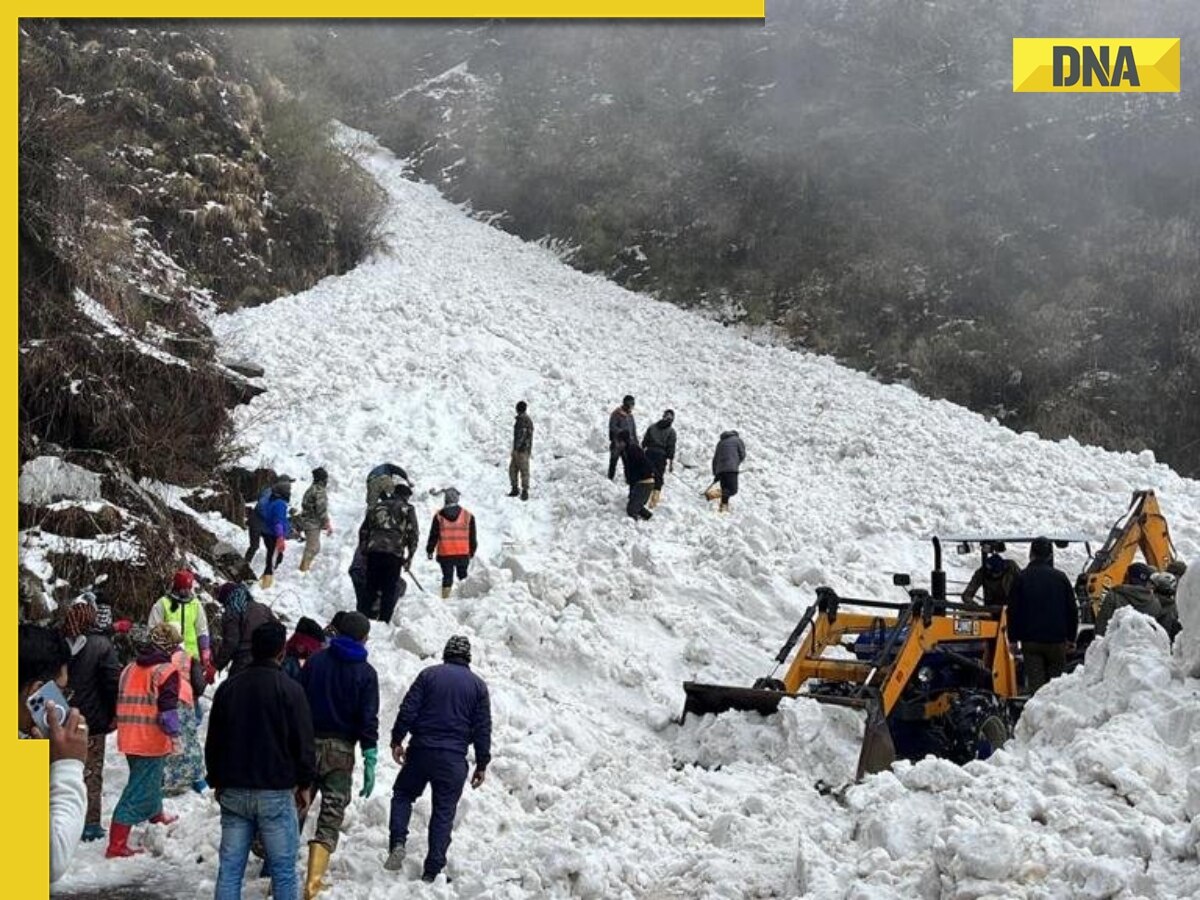 Massive avalanche hits Sikkim's Nathu La, 6 dead, several injured