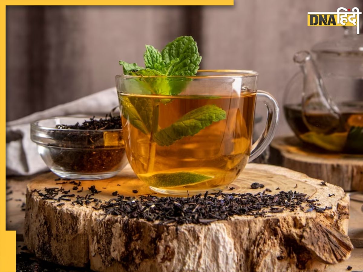 Kangra Tea: कोरोना वायरस को मारने की शक्ति रखती है ये पहाड़ी चाय, जान ...