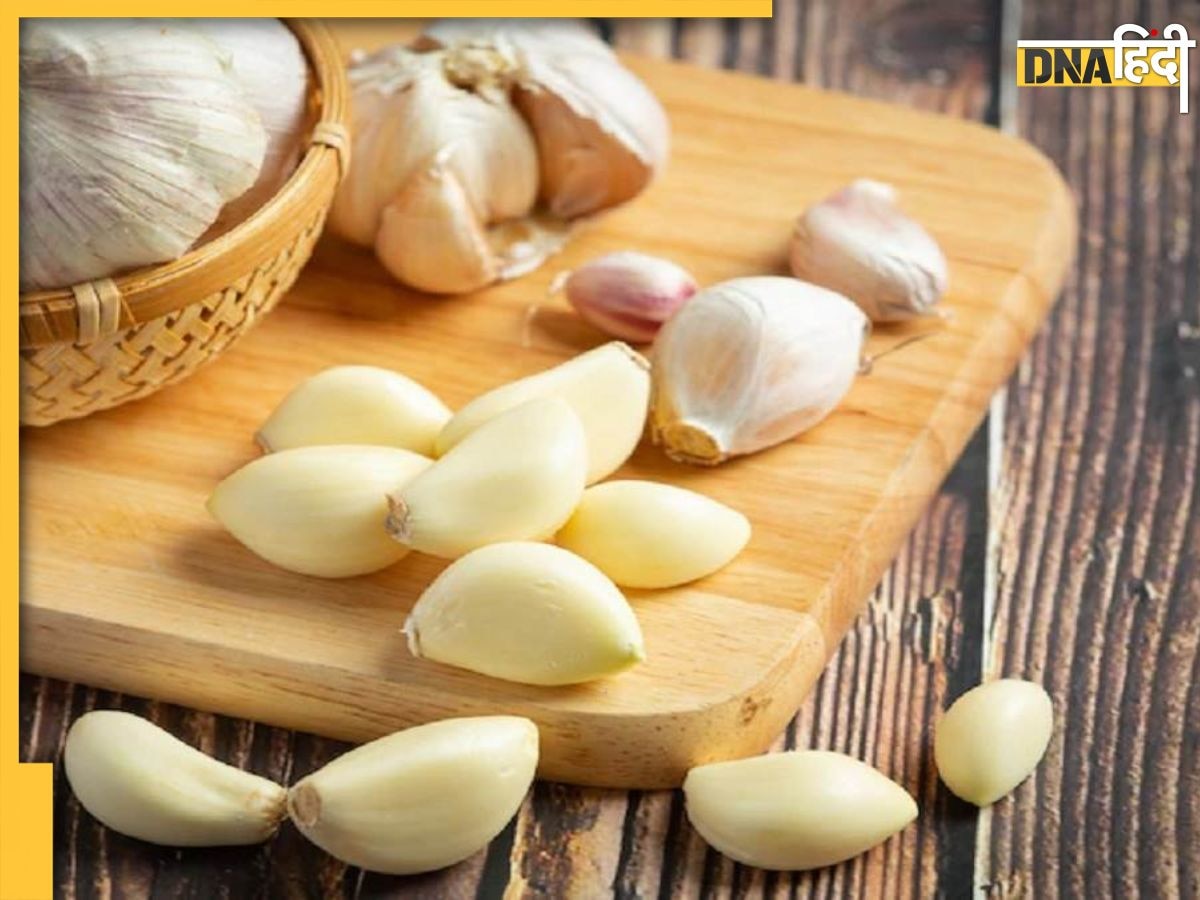 Cholesterol Reduce Foods: सुबह उठते ही पानी के साथ खा लें ये 1 चीज, नसों में भरा क�ोलेस्ट्राॅल हो जाएगा साफ, हार्ट भी रहेगा हेल्दी