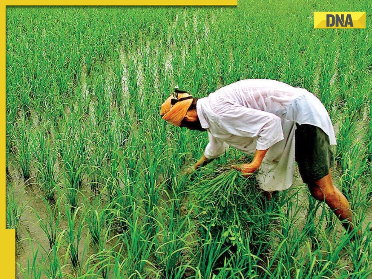 PM Kisan Samman Nidhi Yojana: 14th installment to release soon, check steps to apply, list of documents required