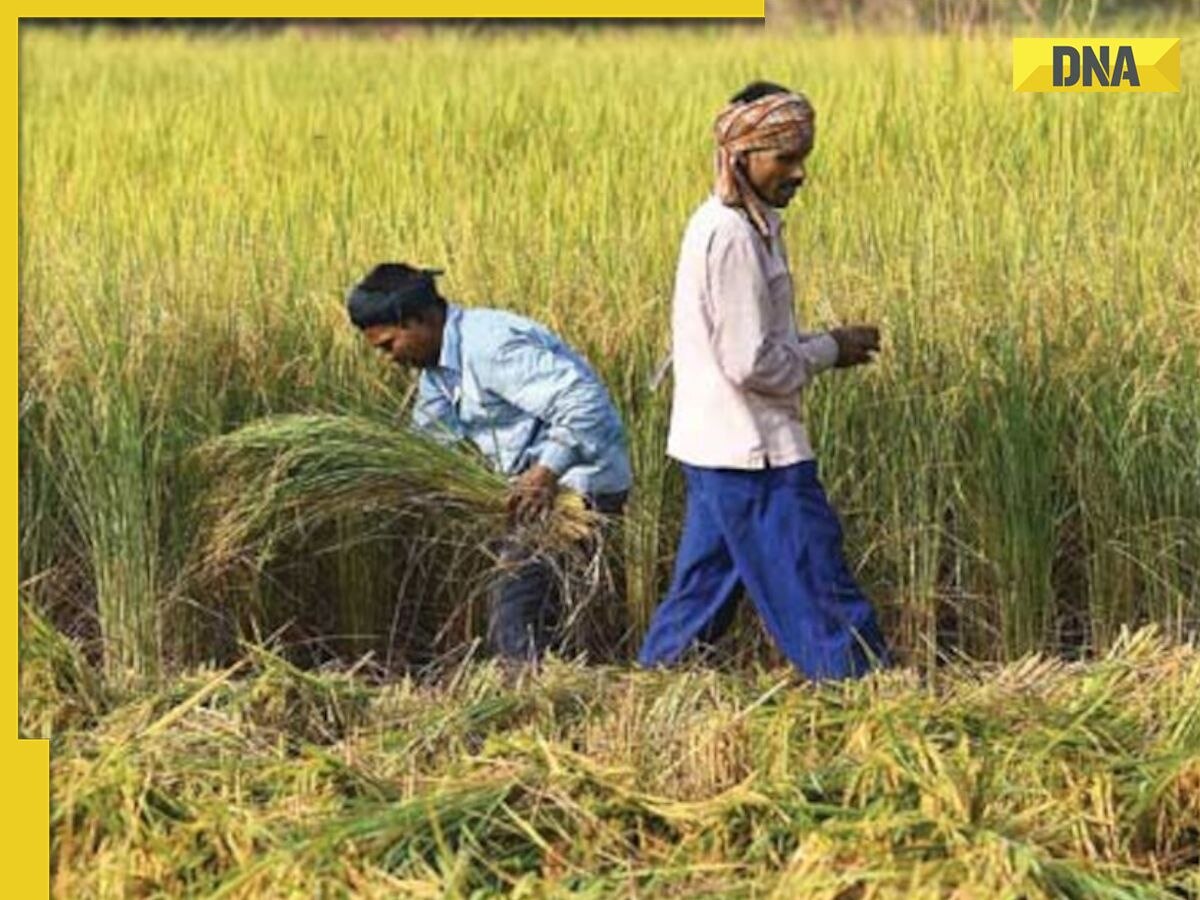 PM-Kisan Samman Nidhi Yojana: 14th instalment to be released soon, check details