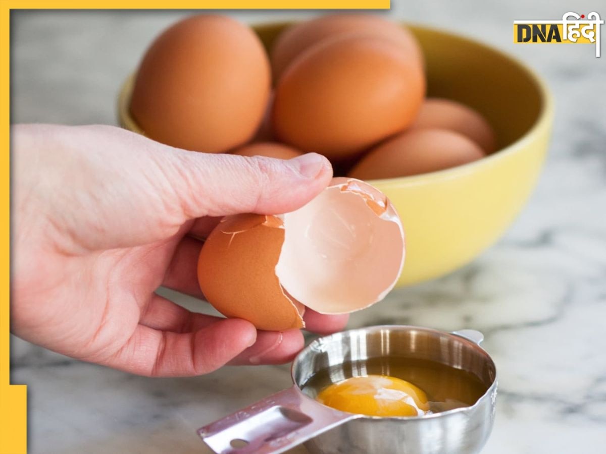 Egg Expiry Date: इतने दिनों बाद एग हो जाता है खराब, जानें अंडे की एक्सपायरी और फ्रेशनेस की पहचान का तरीका