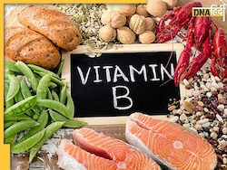 Vitamin B12 Foods: इ�न वेज फूड्स के खाते ही बाॅडी में भर जाएगा विटामिन बी12, नॉनवेज खाने की नहीं पड़ेगी जरूरत  