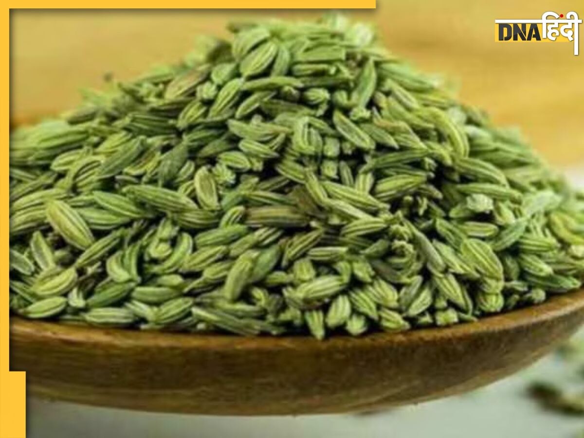 Fennel Seeds Benefits: गर्मियों की डाइट में शामिल करें सौंफ, माउथ हेल्थ से लेकर सेहत को मिलेंगे ये 4 फायदे