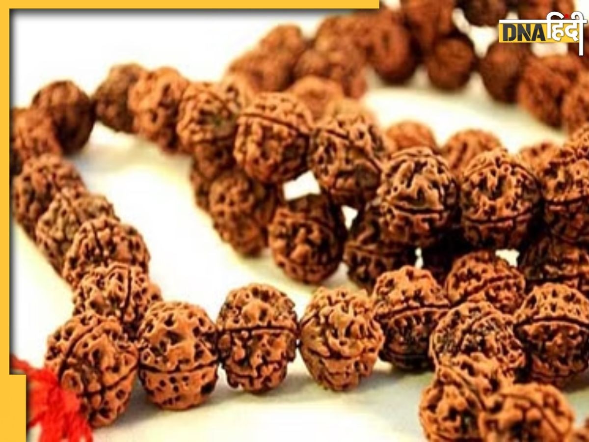 Rudraksha Wearing Rules: रुद्राक्ष धारण करने से पहले जान लें सभी नियम, छोटी सी गलती से नाराज हो जाएंगे महादेव