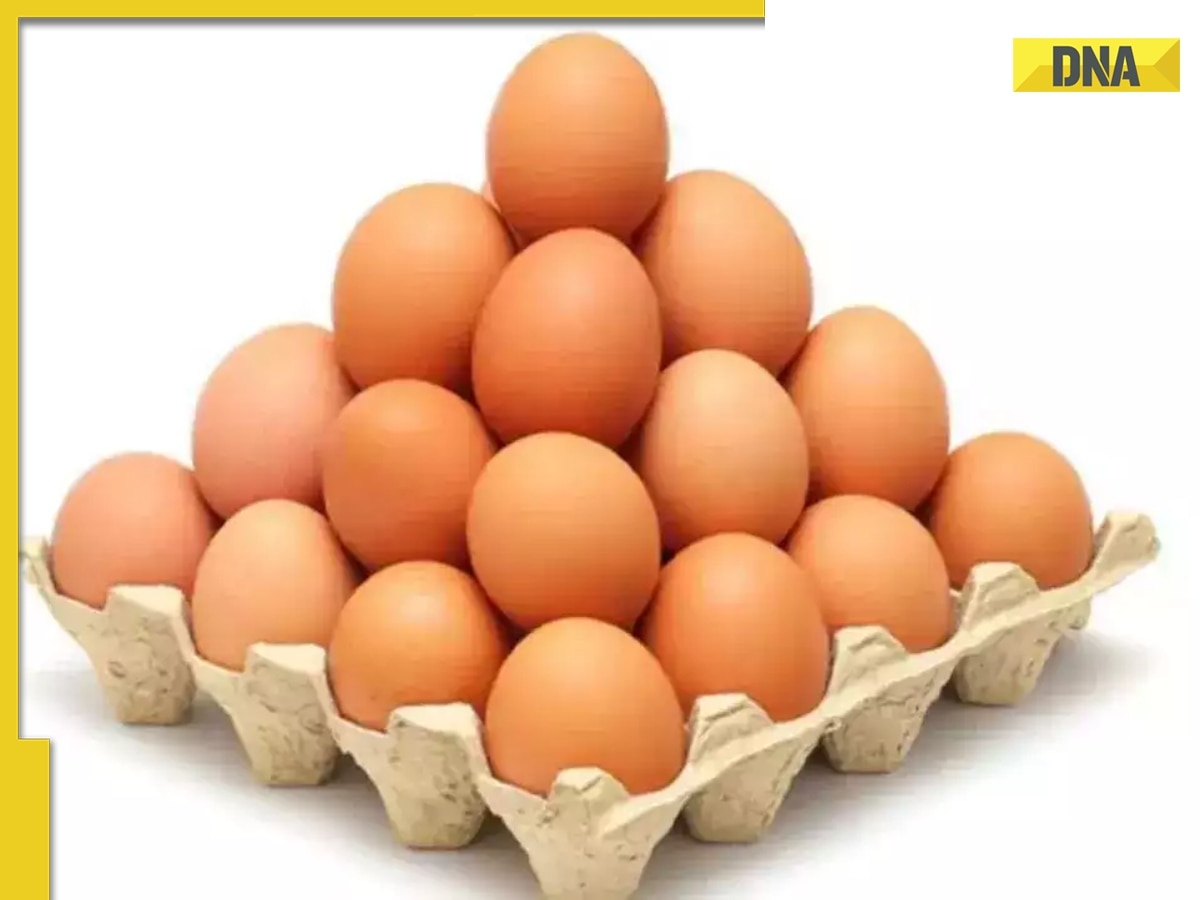 Optical Illusion: Count the total number of eggs in THIS image