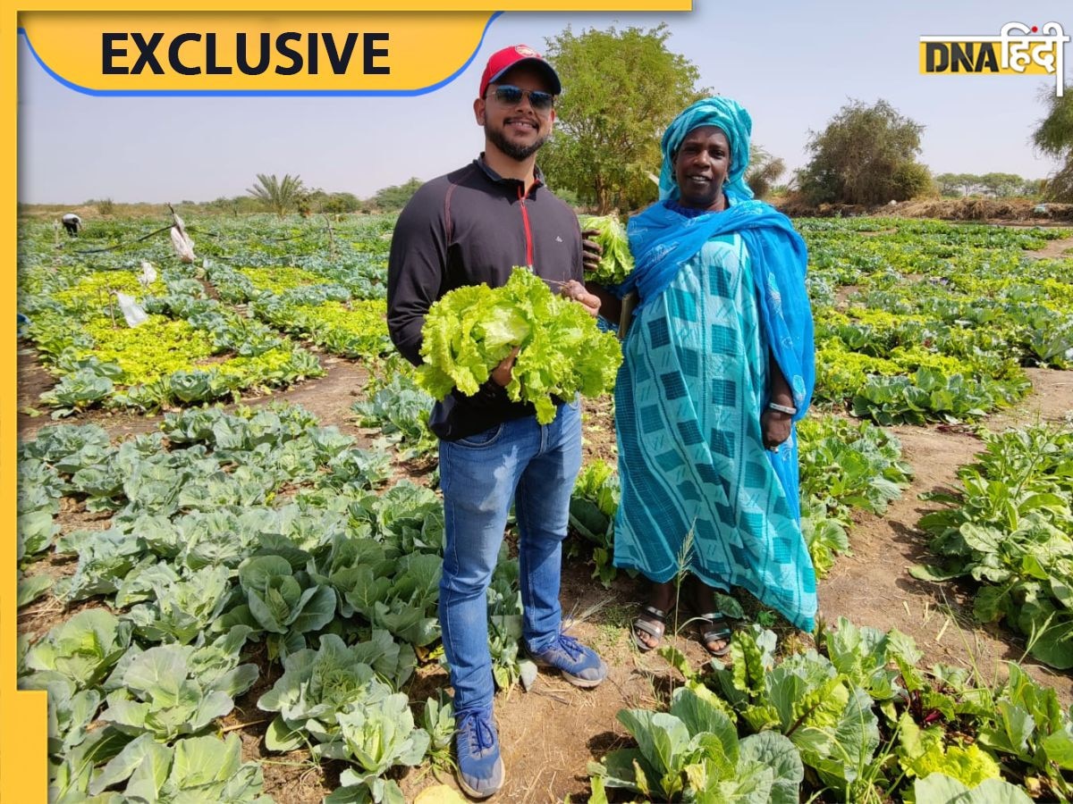 Organic Farming: ऑर्गेनिक फार्मिंग फायदे का सौदा है या नुकसान का, जानें इस ��धंधे में कब मिलता है प्रॉफिट