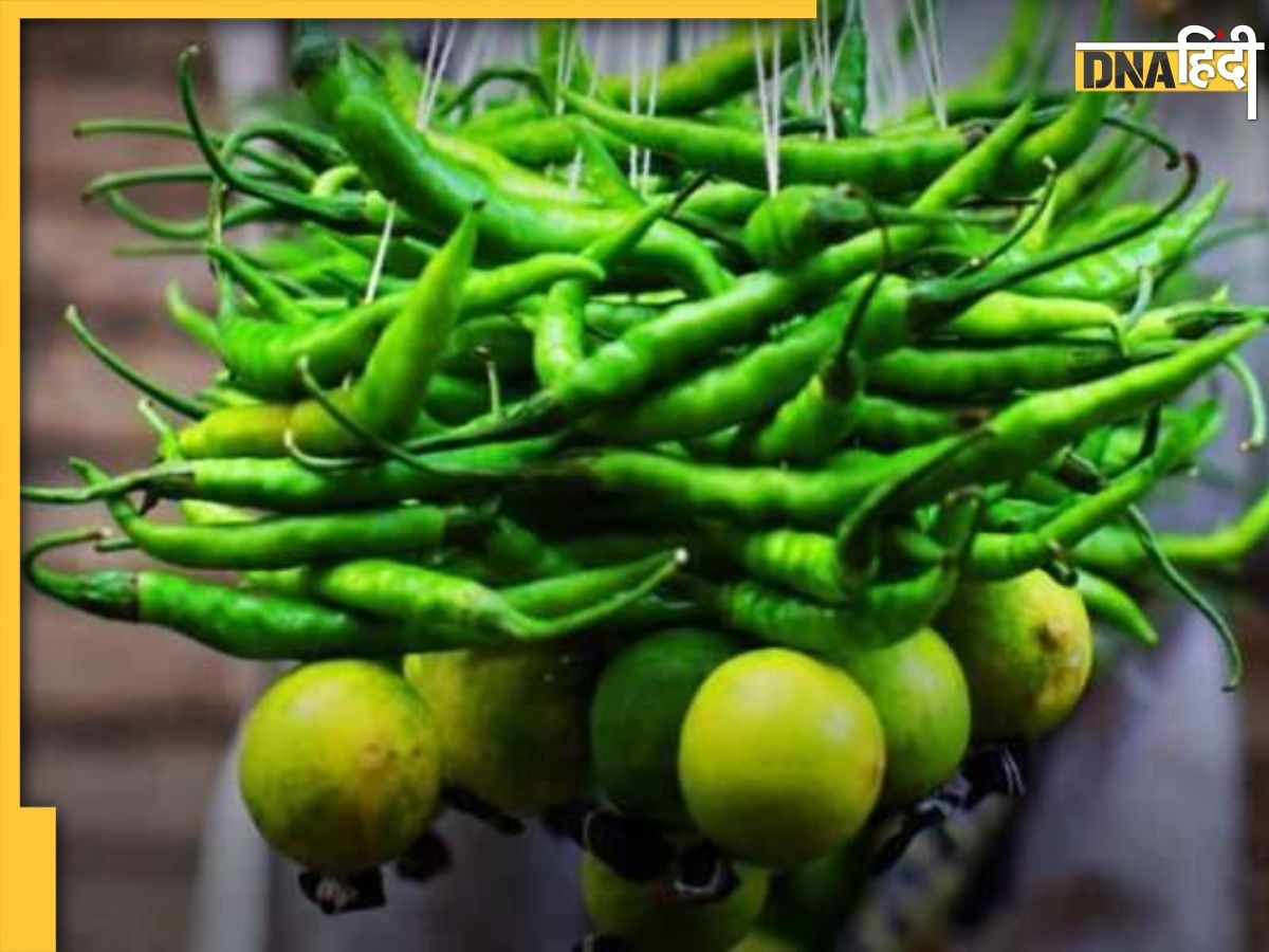 Nimbu Mirch Ke Totke: सोई किस्मत और ठप करियर तक को शुरू कर देंगे नींबू मिर्च के ये टोटके, जानें आजमाने का तरीका