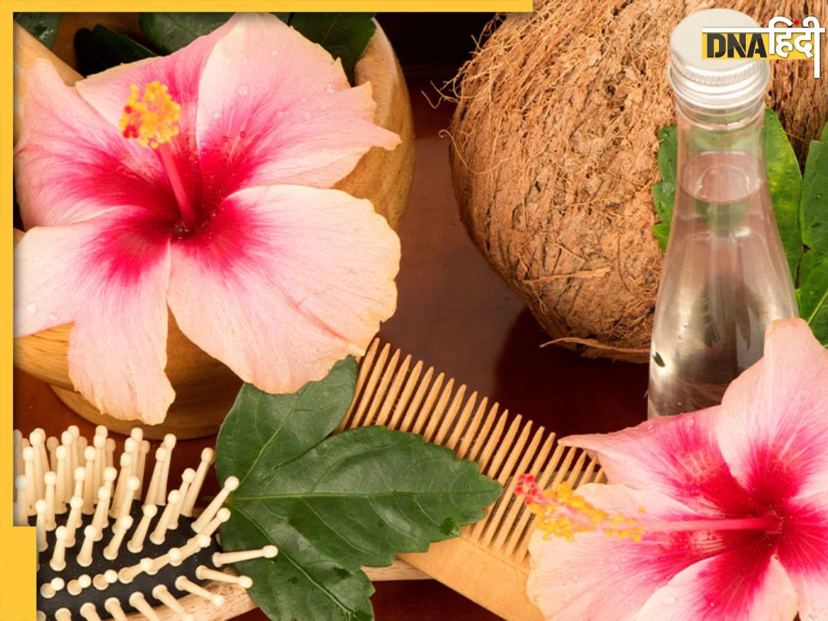 Hibiscus Prevent Hair Fall: बालों के झड़ने से हैं परेशान तो इन फूलों ��का करें इस्तेमाल, जड़ों तक मजबूत और घने हो जाएंगे बाल