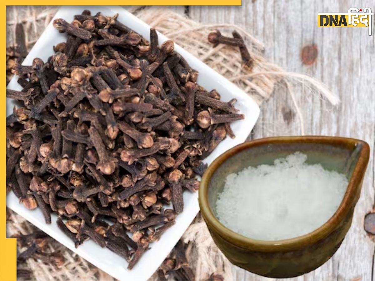 Astro Clove Remedies: लौंग और कपूर के आसान उपाय दूर कर देंगे घर में बनी नकारात�्मकता, खुल जाएंगे तरक्की के बंद रास्ते