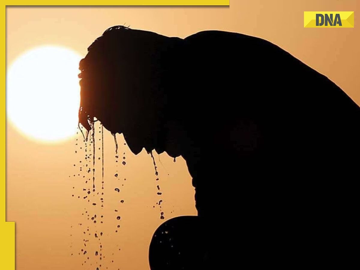 IMD Heatwave Alert: Temperatures In Bihar, West Bengal, Jharkhand To ...