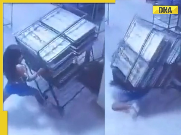 Viral video: Girl trying to move rack fails spectacularly, netizens say ...