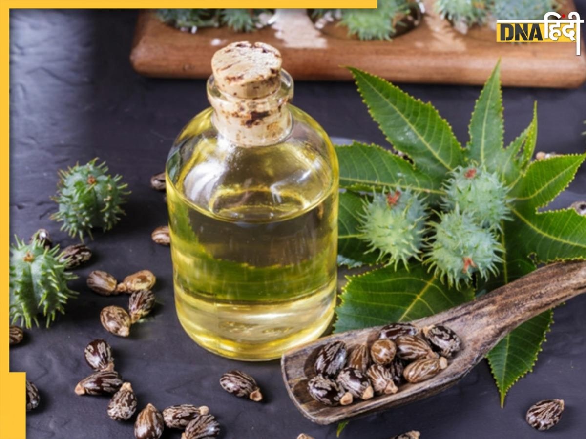 Hair Growth Oil: इस मैजिकल हेयर ऑयल से बालों की ग्रोथ होगी तेज, 3 हफ्तें में चिकनी खोपड़ी पर नजर आने लगेंगे नए बाल