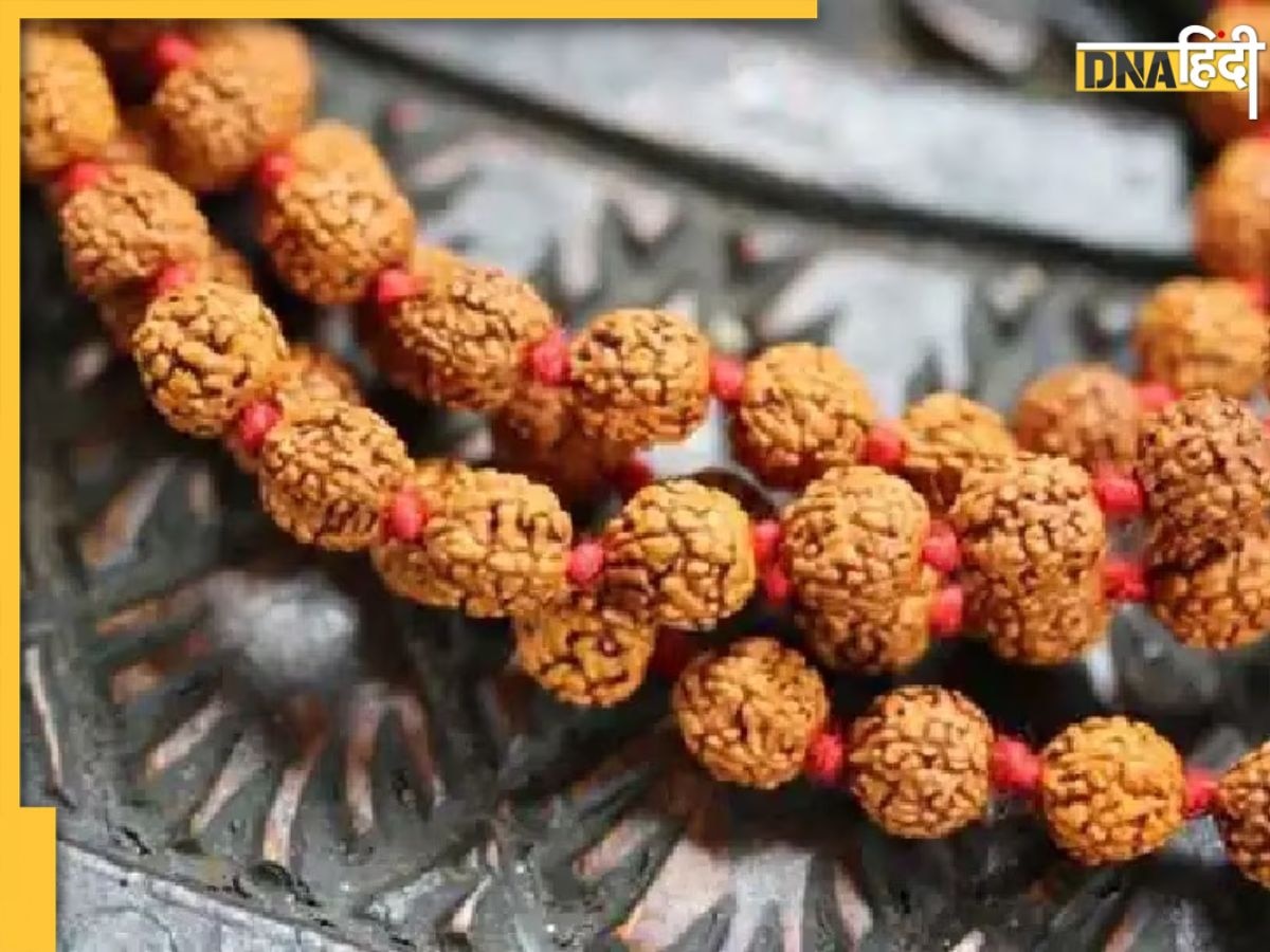 Gauri Shankar Rudraksha: इस रुद्राक्ष का ब्रेसलेट पहनने से सुधर जाता है दांपत्य जीवन, पति-पत्नी के बीच बढ़ता है प्यार, ज��ानिए अन्य फायदे