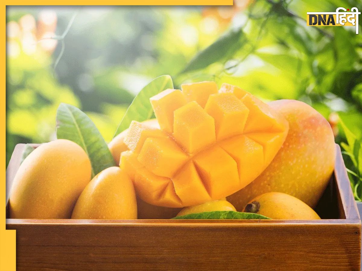 Mango Effect Uric Acid इन लोगों को भी नहीं करना चाहिए फलों के राजा आम