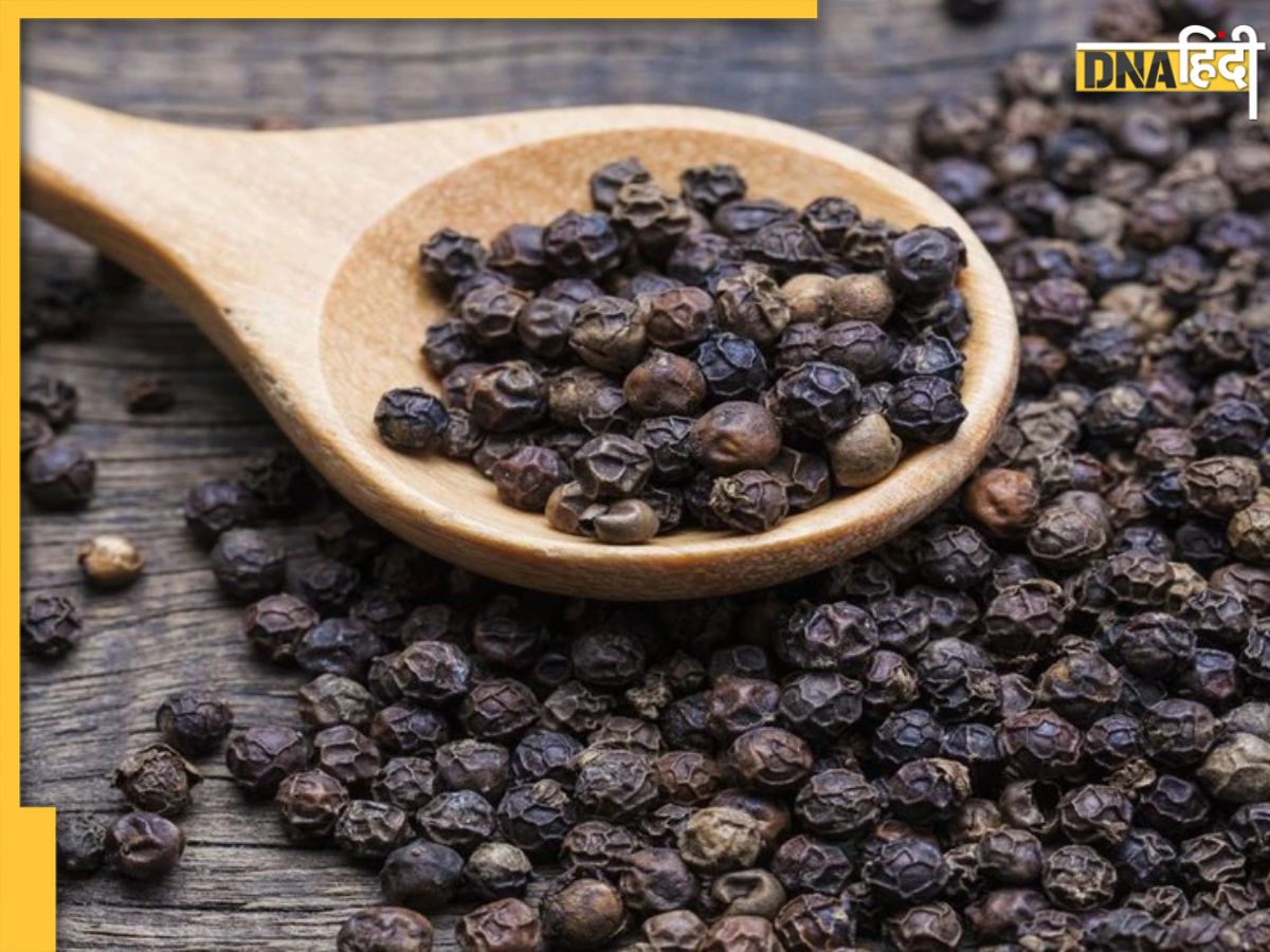 Black Pepper Benefits सुबह खाली पेट खाएं काली मिर्च Blood Sugar और Cholesterol एक साथ होंगे