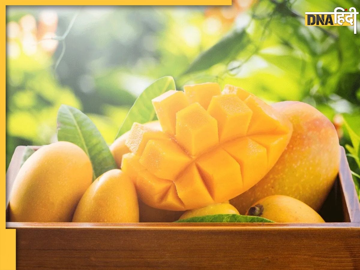 Mangoes Eating Tips: आम के साथ या उसके तीन घंटें बाद तक न करें इन चीजों का सेवन, पेट में जाते ही बन जाएगा जहर