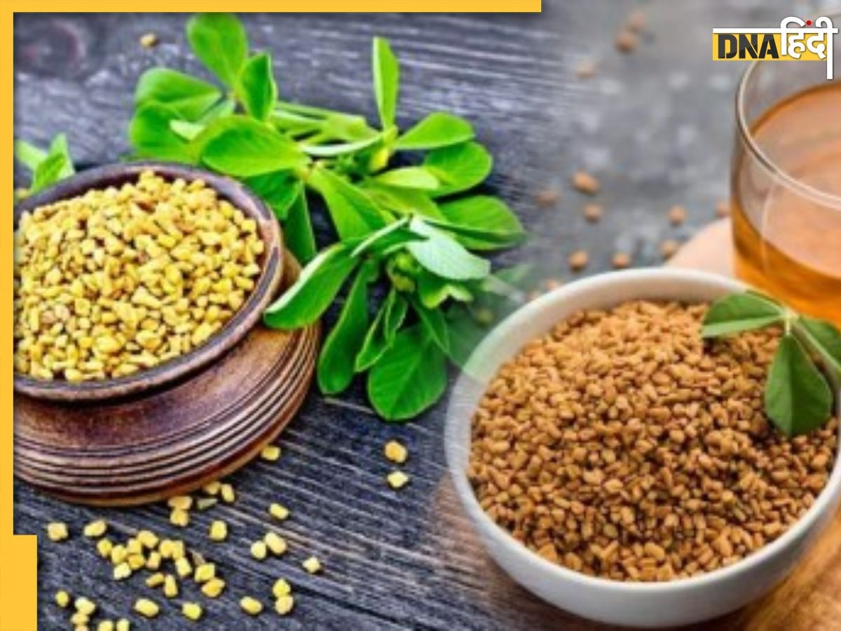 fenugreek Benefits: यौन शक्ति को बूस्ट और डायबिटीज को कंट्रोल करती है ये 1 चीज, नियमित सेवन से सेहत को मिलते हैं 5 फायदे