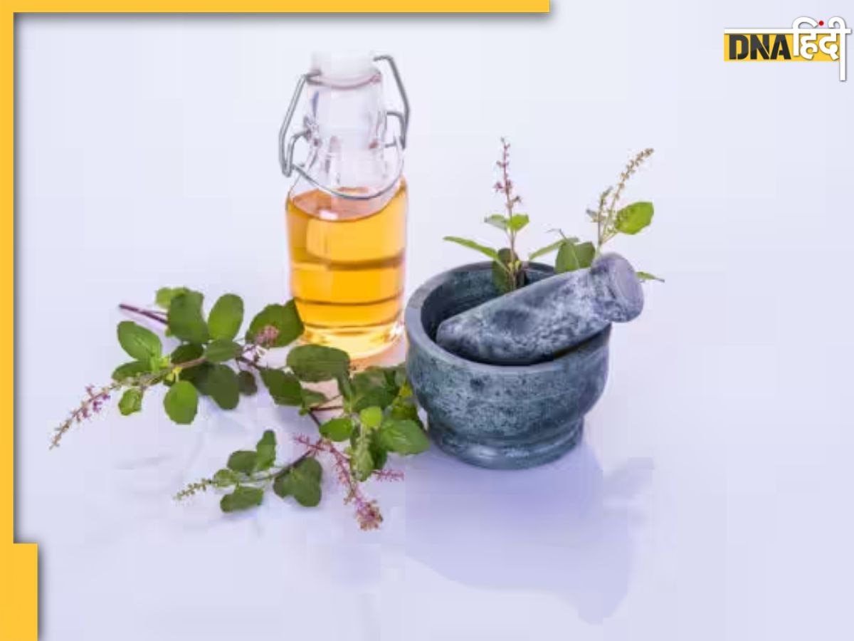 Tulsi Toner Benefits: गर्मी और पसीने से स्किन पर रहती है चिपचिपाहट तो इस तरह बना कर लगाएं तुलसी टोनर, मिनटों में दूर होगी समस्या 