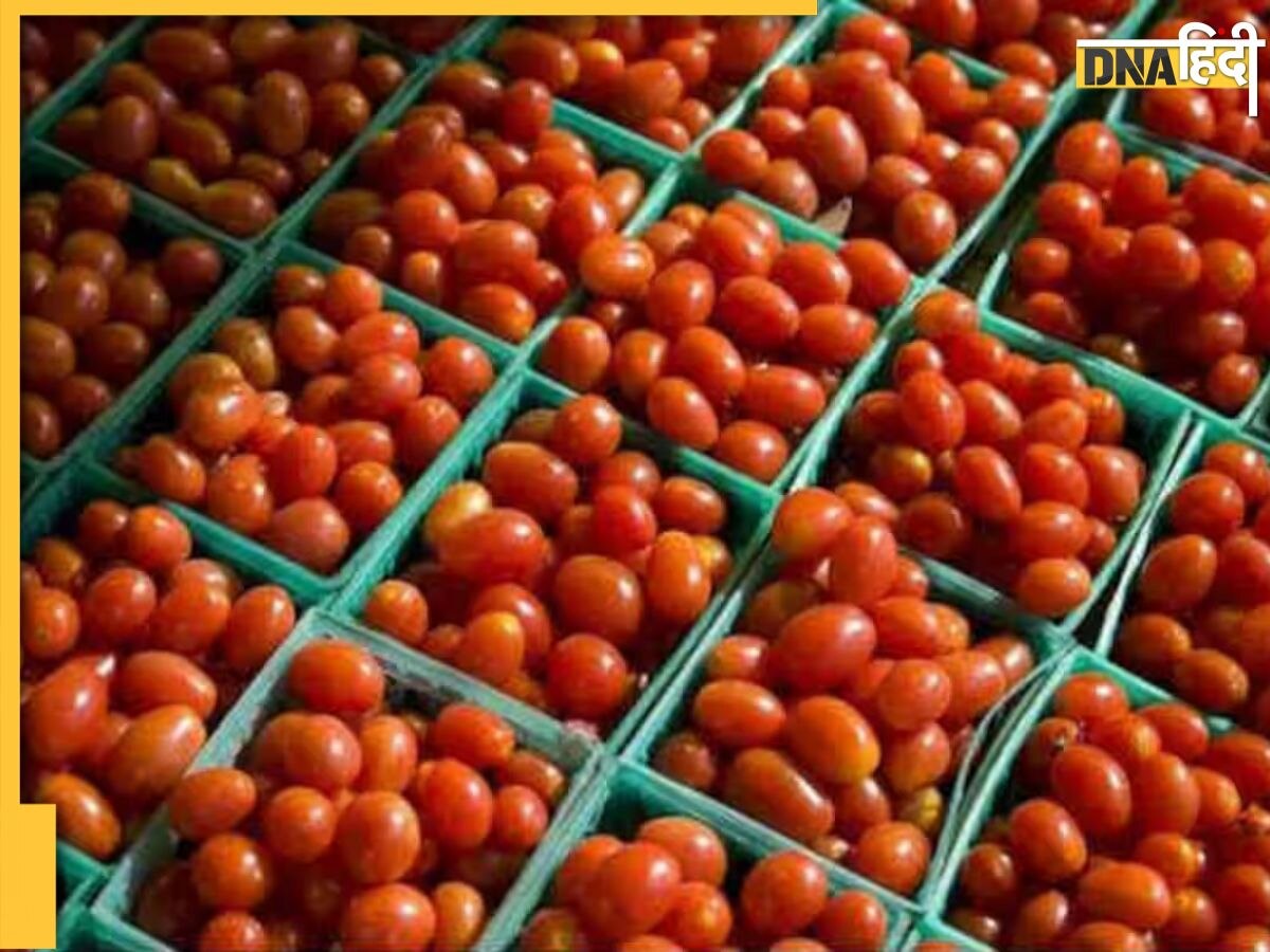 Tomato Price Hike: टमाटर के बढ़ते दामों ने आम आदमी को किया 'लाल', जानिए कहां क्या है रेट?