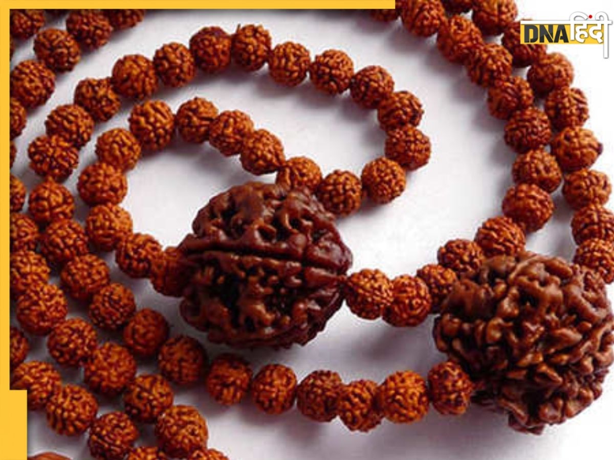 Rudraksha Benefits: रुद्राक्ष धारण करने से पहले जान लें क्या होते हैं इसके परिणाम, किन नियमों से करें धारण