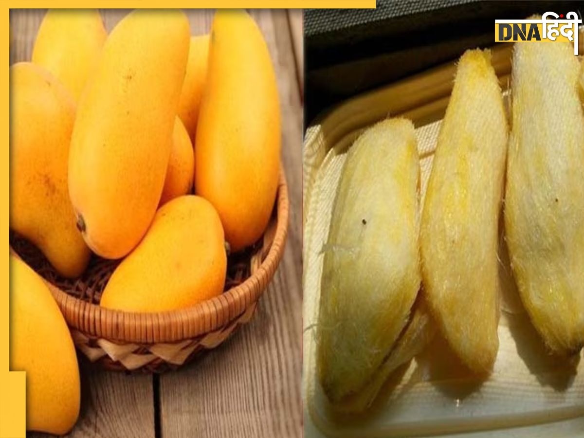 Mango Kernels Benefits: गर्मियों में आम ही नहीं इसकी गुठली खाने के भी हैं कई फायदे, कोलेस्ट्राॅल से लेकर दूर हो जाता है डायरिया