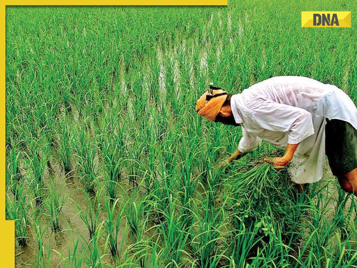 PM Kisan Samman Nidhi Yojana: Farmers likely to receive 14th Installment soon, check step-by-step process to apply