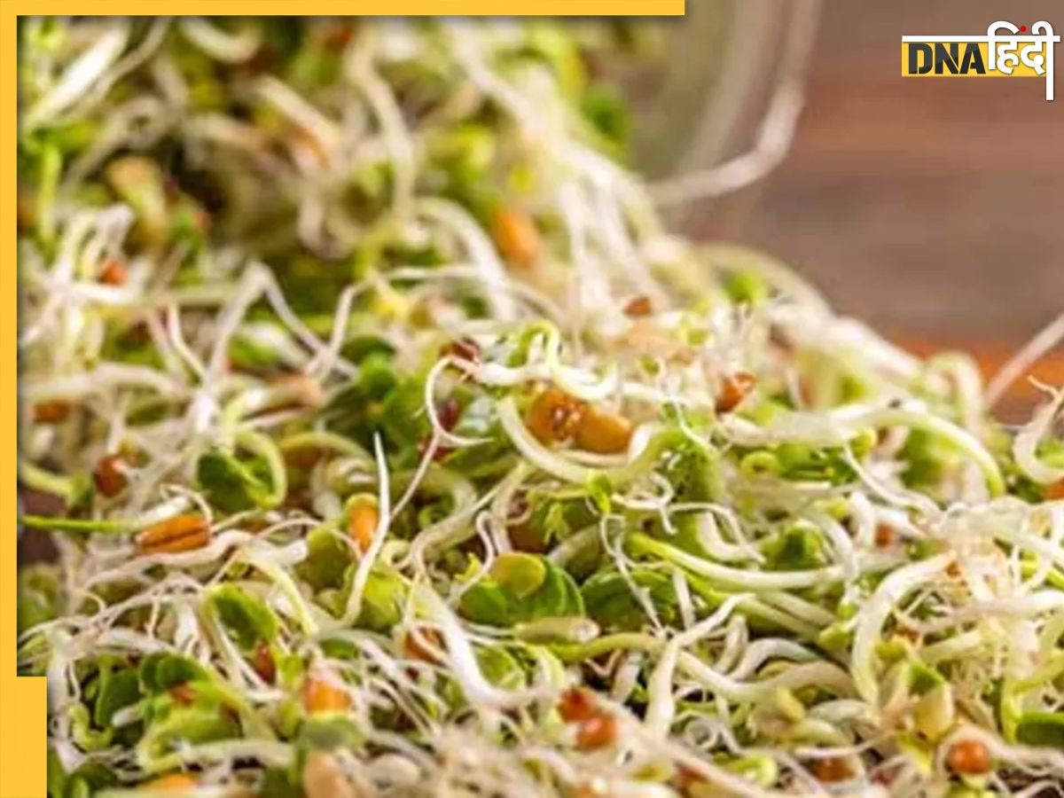 Benefits of Sprouts: ब्लड सर्कुलेशन और खराब डाइजेशन को करना है ठीक तो सुबह उठते ही इ��स चीज का करें सेवन