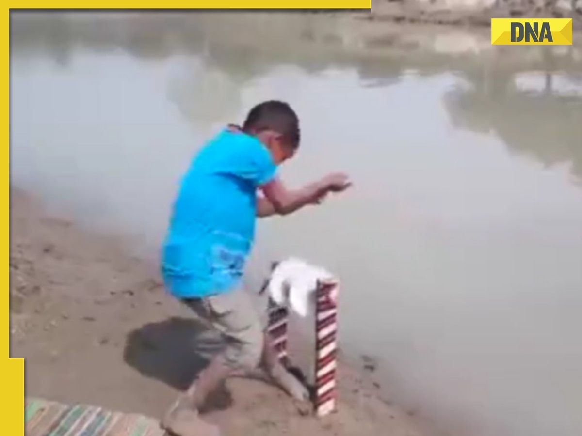 This little boy's fish catching technique has impressed the internet, viral video