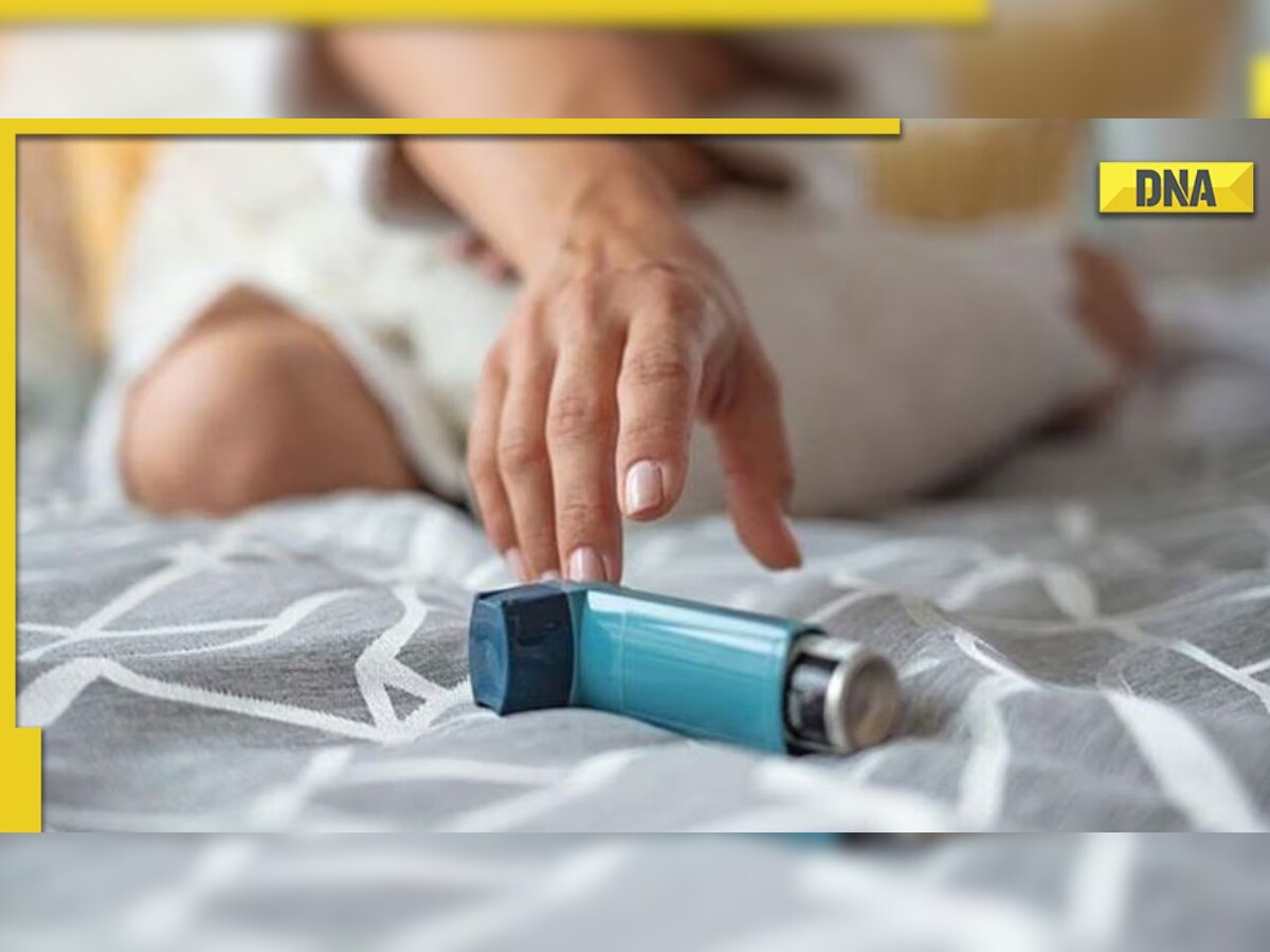 World Asthma Day 2023: 5 common triggers of asthma to watch out for during summer 