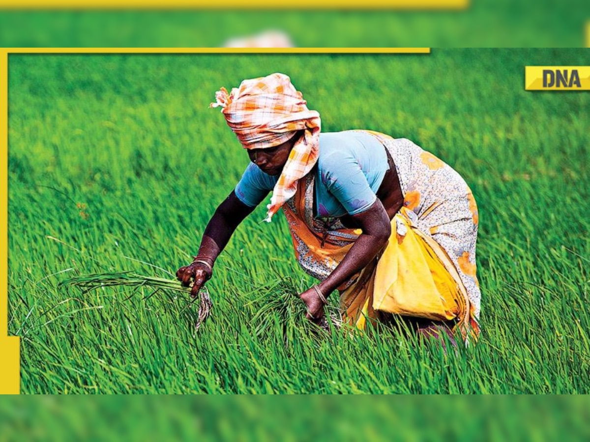 PM Kisan Yojana: 14th installment likely in May, know how many family members can avail benefit