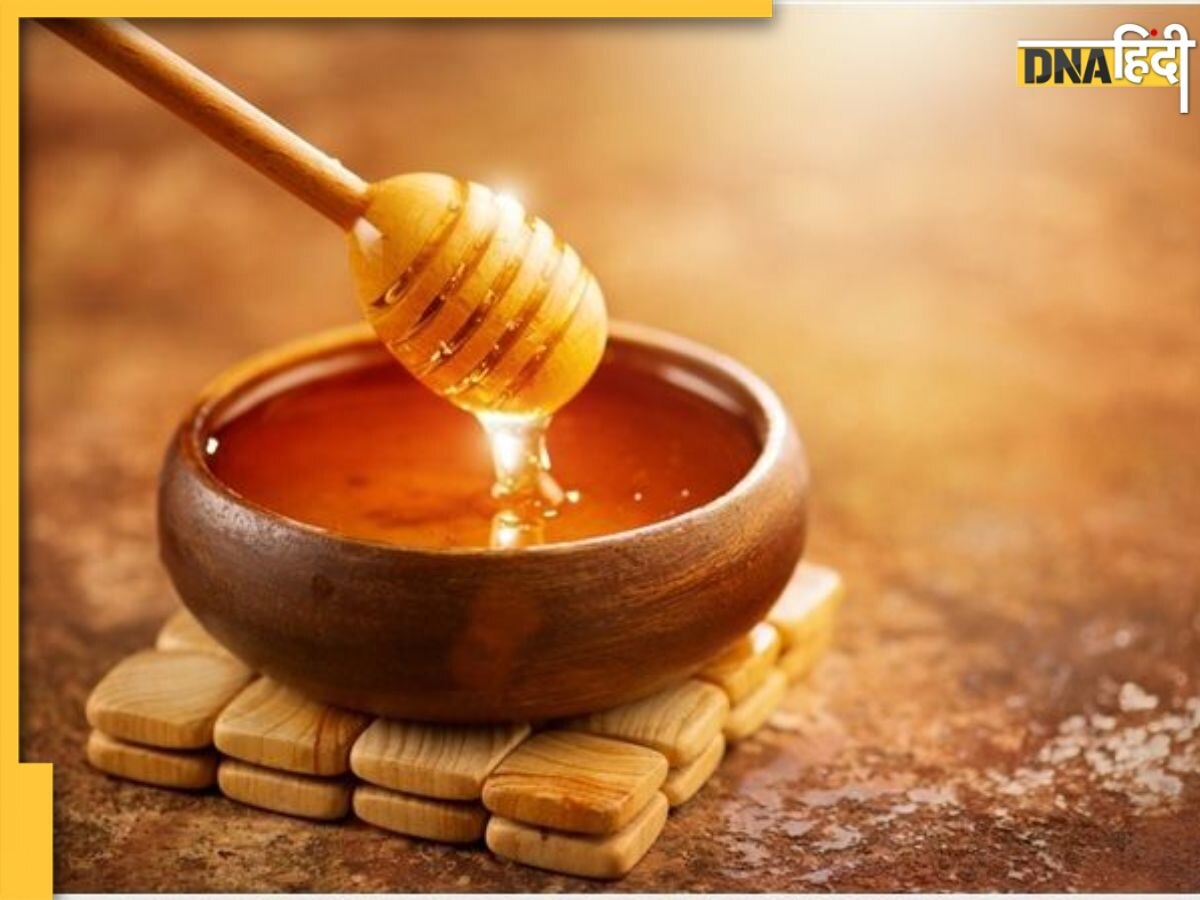 Most Expensive Honey: ये है दुनिया का सबसे महंगा शहद, कीमत इतनी की 1 किलो खरीदने में बिक जाए प्रॉपर्टी, जानिए क्या है इसकी खासियत