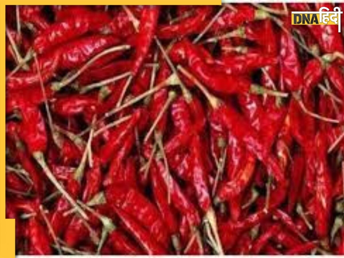 Laal Mirchi Upay: लाल मिर्च के इन उपायों से मिलेंगे चमत्कारी लाभ, अटके धन की वापसी से लेकर सफलता पाने में मददगार हैं य�े उपाय