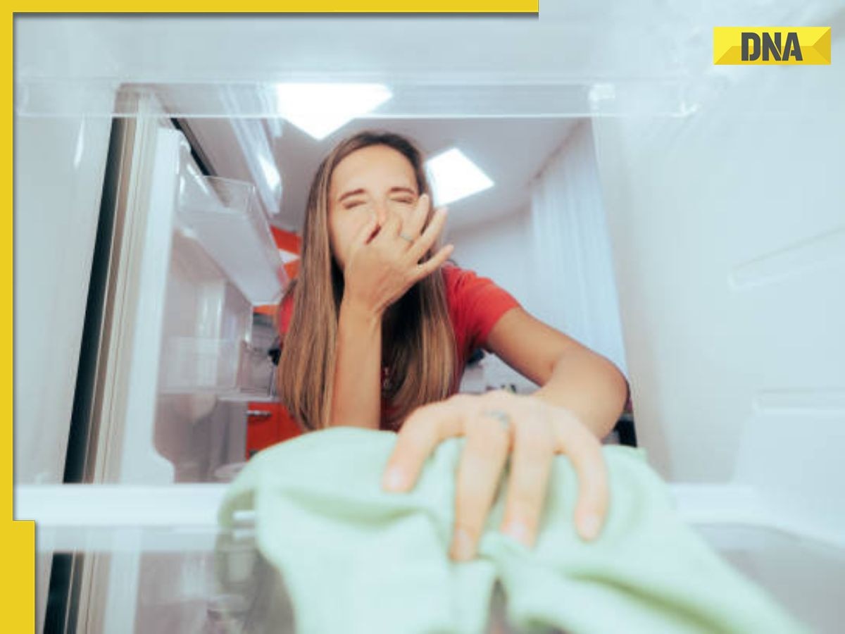 Why does your freezer stink and how to eliminate bad odor