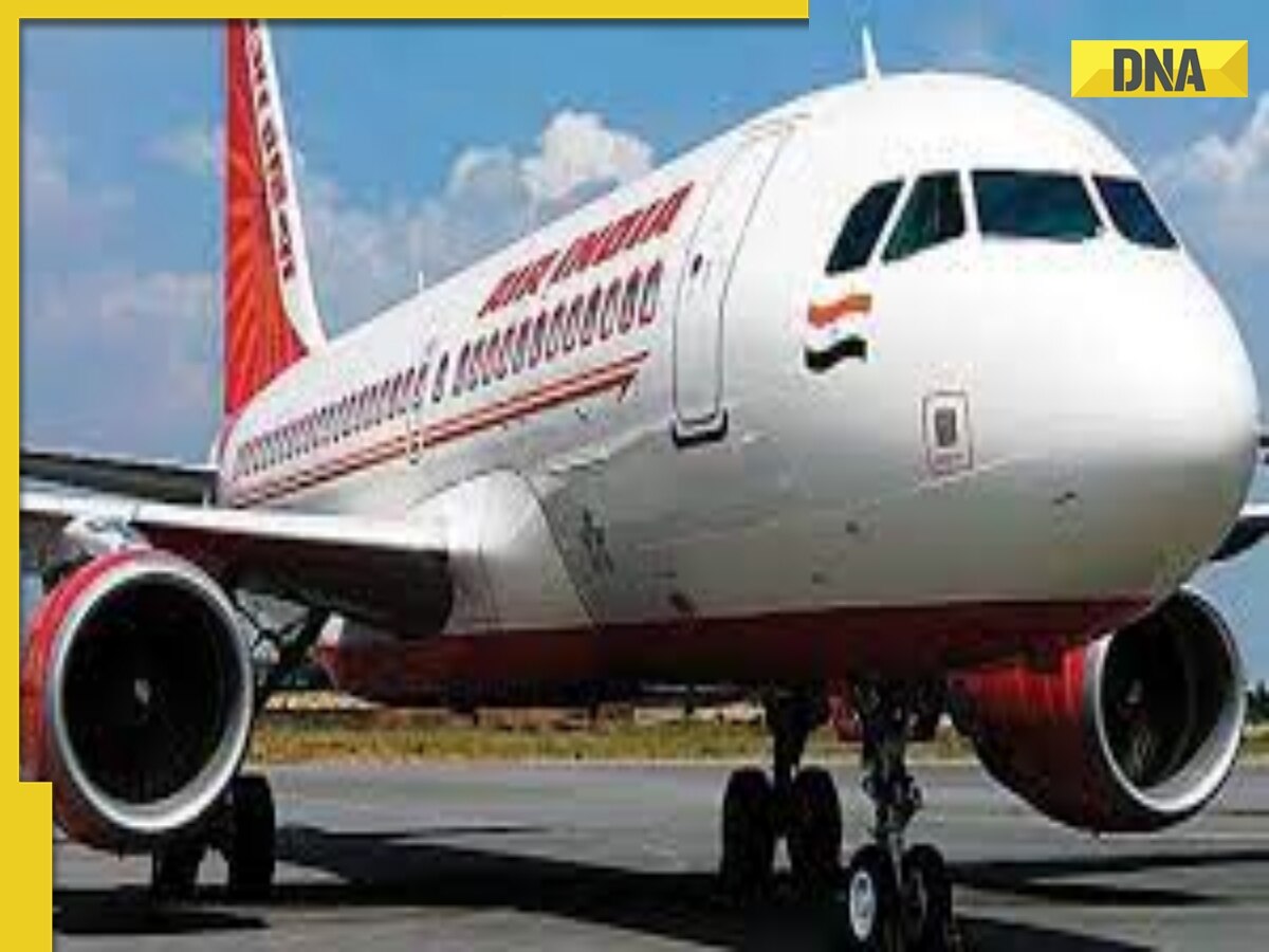 Scorpion stings woman on Air India Nagpur-Mumbai flight