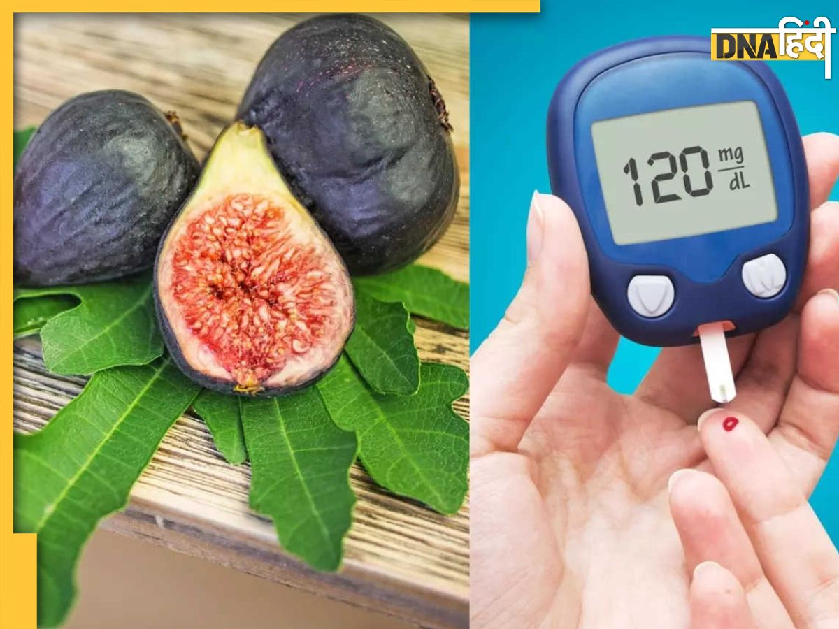 Fresh Figs Control Diabetes डायबिटीज मरीज ड्राई अंजीर खाएं या फ्रेश