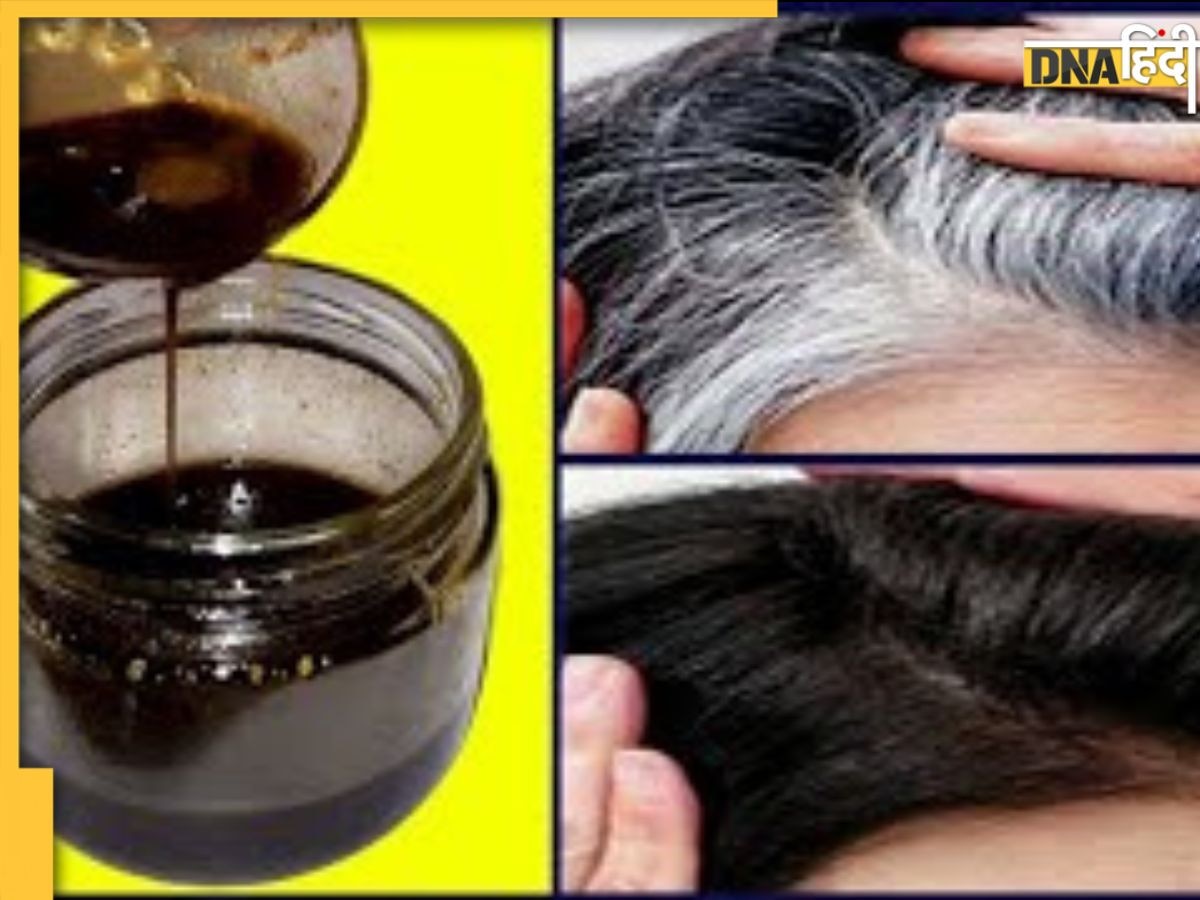 White Hair Remedy: सफेद बालों के लिए घर पर तैयार करें ने��चुलर केश-काला तेल, नहीं पड़ेगी हेयर कलर या डाई तक की जरूरत