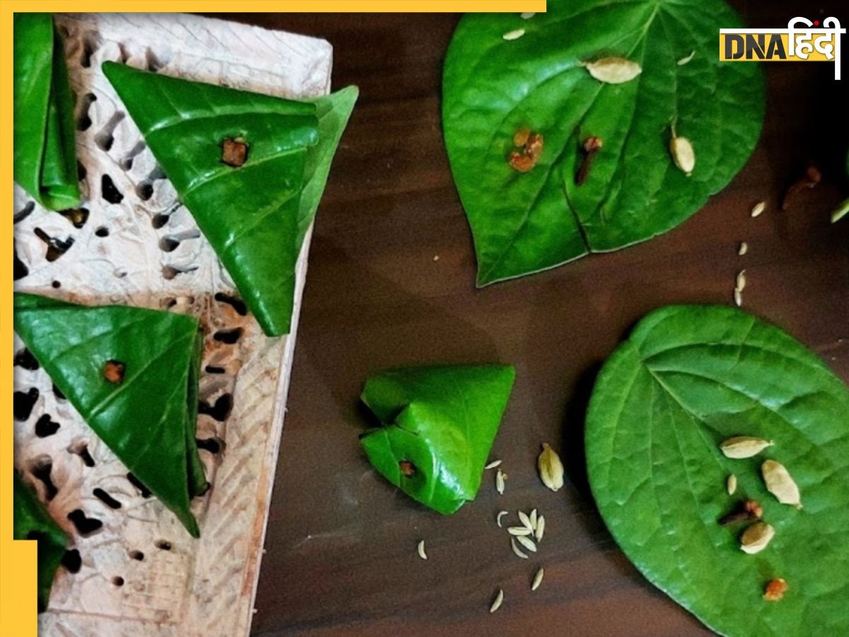 Paan Benefits For Mouth Ulcers: गर्मी में मुंह के छालों से हैं परेशान तो खाएं ये पान, बेहद कारगार है देसी नुस्खा 