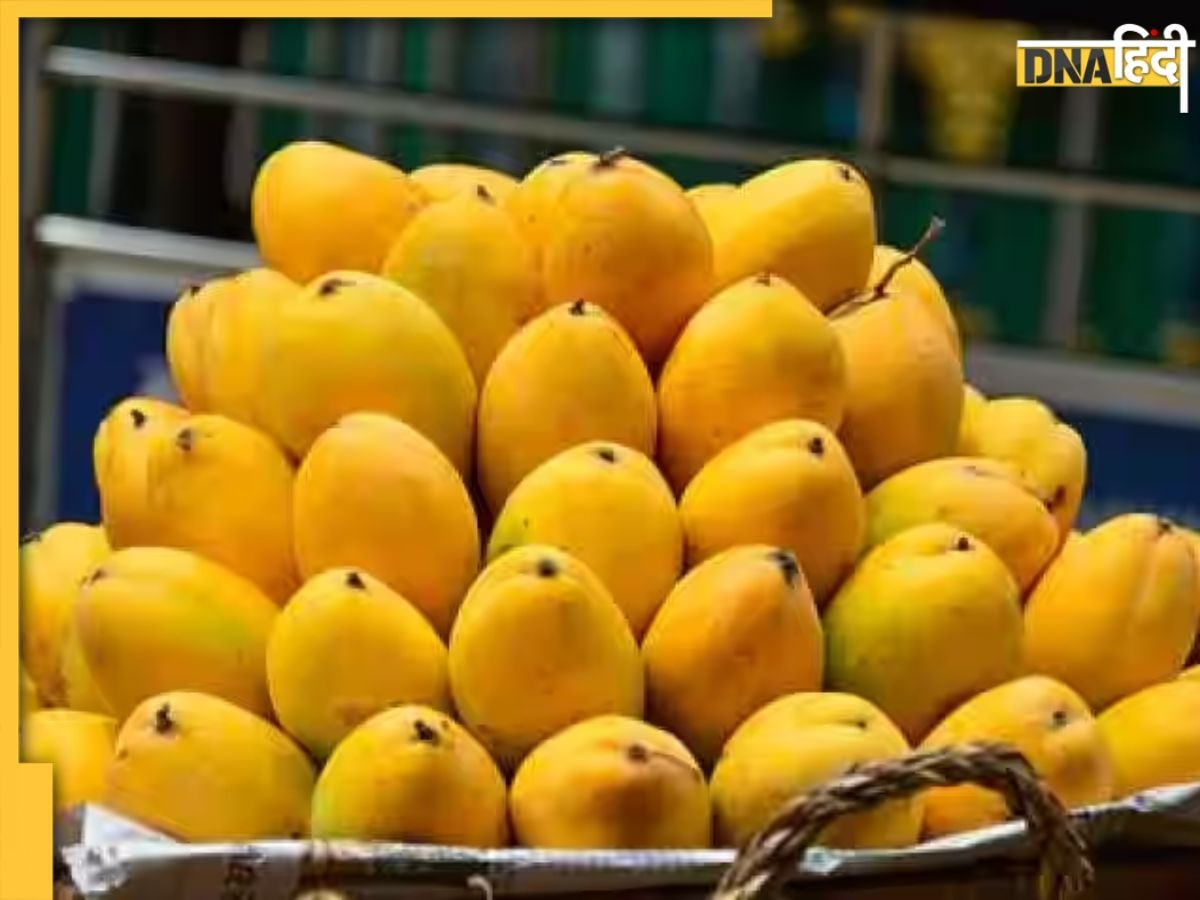 Chemically Ripened Mangoes: कहीं आप भी तो नहीं खा रहे केमिकल से पके आम? सेहत के लिए है खतरनाक, इन आसान तरीकों से करें पहचान