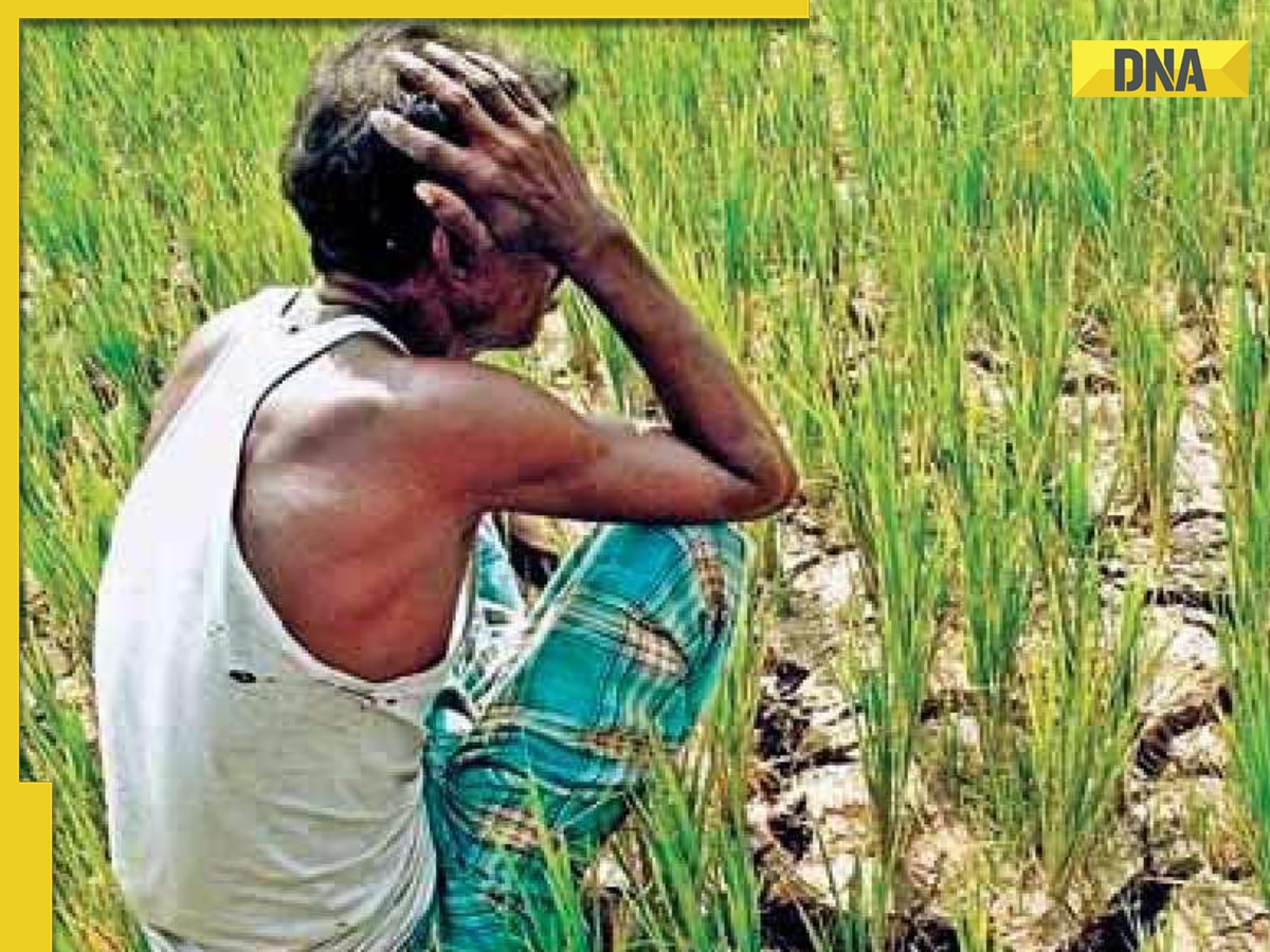 PM Samman Nidhi Yojana: Know eligibility and how to surrender for PM Kisan Yojana