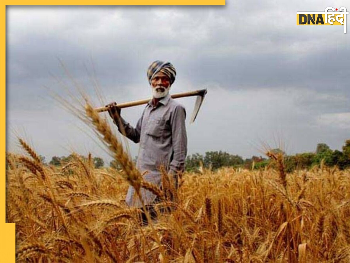 PM Kisan Yojana: पीएम किसान के इन लाभार्थियों को नहीं मिलेगी किस्त, जानिए वजह