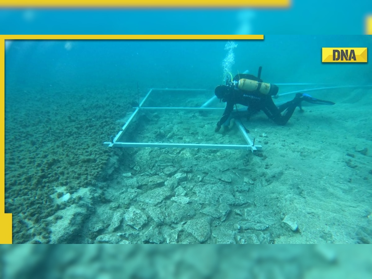 Archaeologists find 7000-year-old road inside sea; list of items found