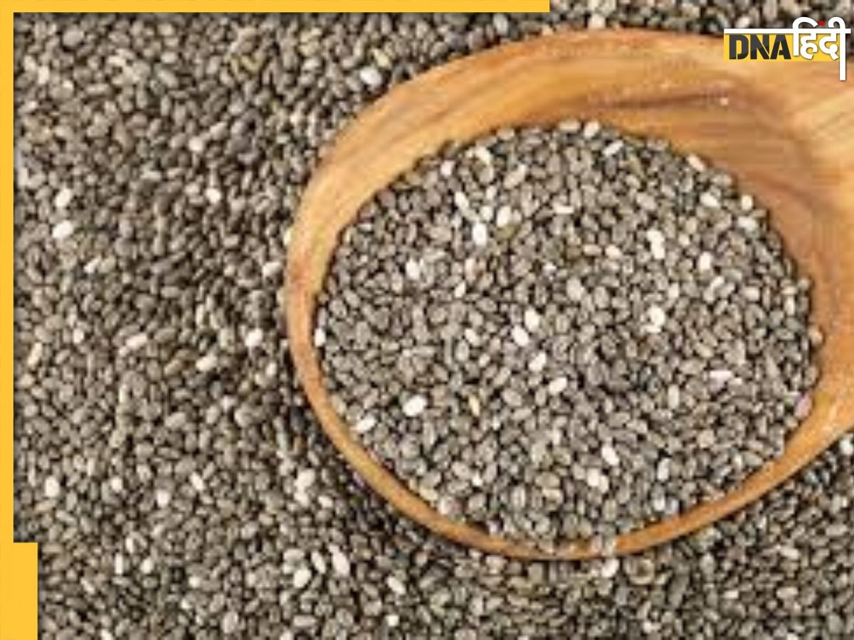 Chia Seeds Side Effects: चिया सीड्स का ज्यादा सेवन सेहत के लिए है खतरनाक, हो सकती हैं ये गंभीर समस्याएं